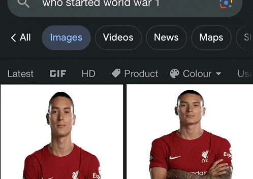 a google search for who started world war 1 is shown