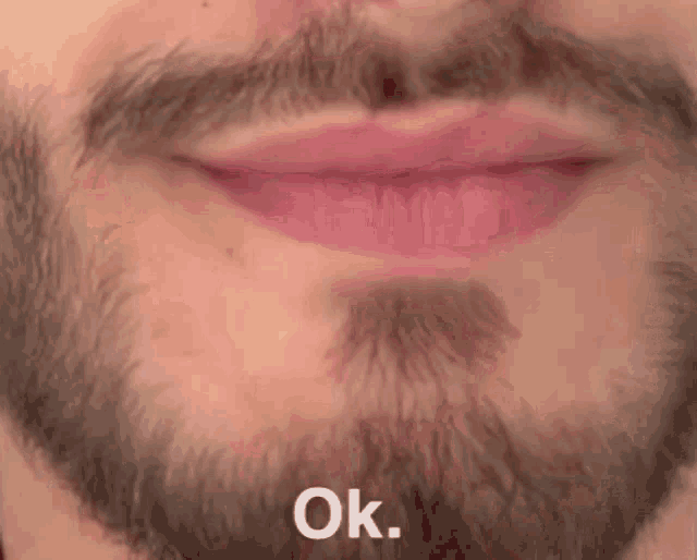 a close up of a man 's face with a beard and the words ok written below it .