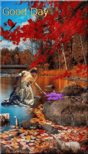 őszi Képek GIF - őszi Képek GIFs