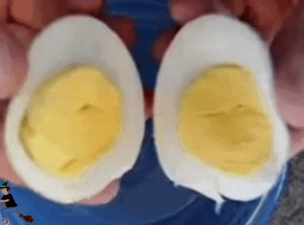 two hard boiled eggs are being held in someone 's hands on a blue plate .