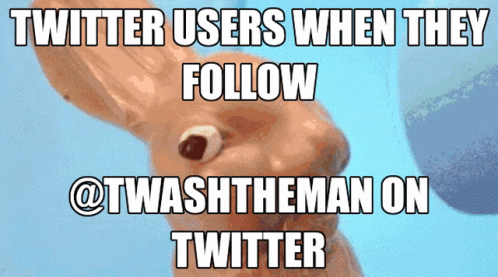 Twitter Users Follow GIF - Twitter Users Follow Twitter GIFs