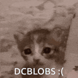 a black and white photo of a kitten with the words dcblobs below it
