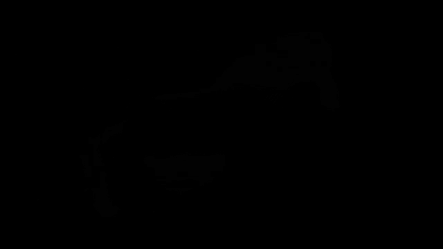 a black background with the word " pilot " written in orange
