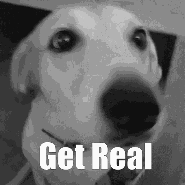 a black and white photo of a dog with the words get real written on it