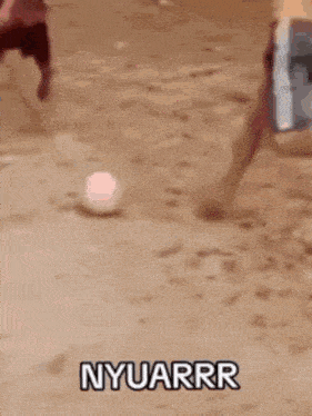 a person is kicking a soccer ball on a beach with the words nyuarrr written on the bottom .