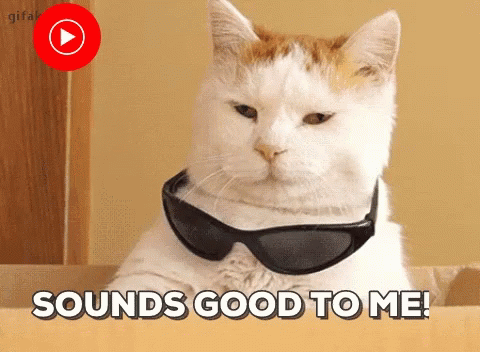 Sounds Good To Me Funny Animals GIF - Sounds Good To Me Funny Animals Cool GIFs