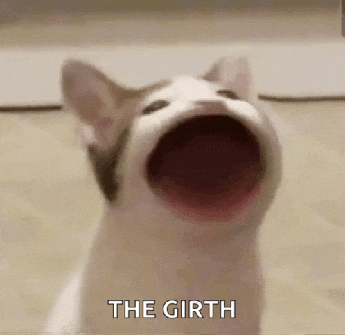 a cat is making a funny face with its mouth open and the words `` the girth '' written below it .