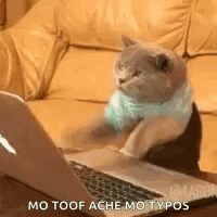 Typing Laptop GIF - Typing Laptop Cat GIFs