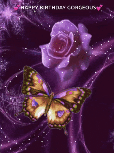 a butterfly is flying in front of a purple rose on a purple background