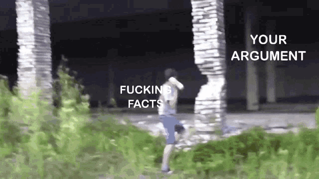 Facts Argument GIF - Facts Argument Collapse GIFs
