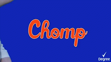 Chomp Floridagators GIF - Chomp Floridagators Bite GIFs