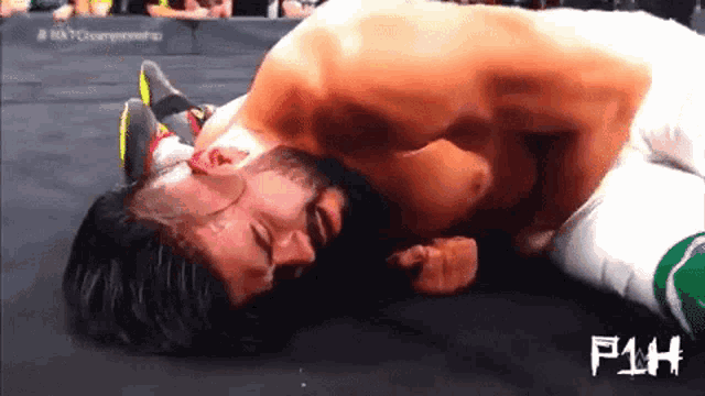 two men are wrestling in a ring with the word f1h on the bottom