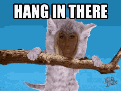 Hang On Hanging Around GIF - Hang On Hanging Around Hang In There GIFs