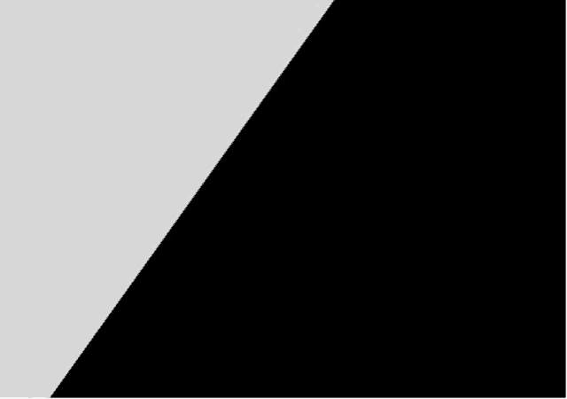 a black and white poster that says reporter for euch