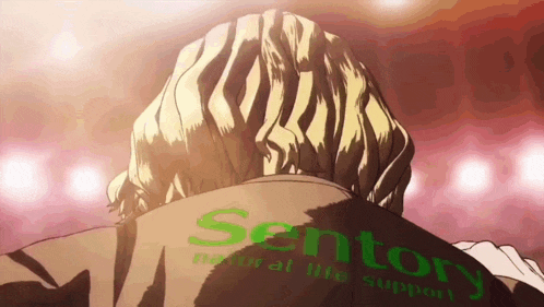 a man 's back is shown with the word suntory written on his jacket