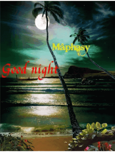 Mâphasy Goodnight GIF - Mâphasy Goodnight Beach GIFs