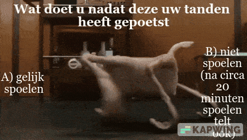 a picture of a dog with a caption that says wat doet u nadat deze uw tanden heeft gepoestst