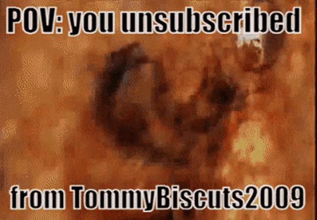 Tommy Biscuts GIF - Tommy Biscuts Biscuits GIFs