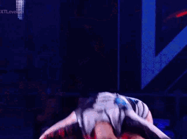 a woman is standing on a stage in a wrestling ring .