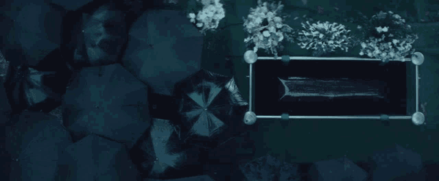 a coffin is surrounded by black umbrellas in a cemetery