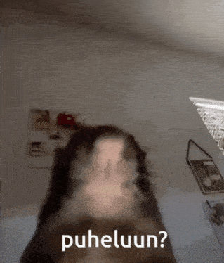 a close up of a cat 's face with the words " puheluun " written on it