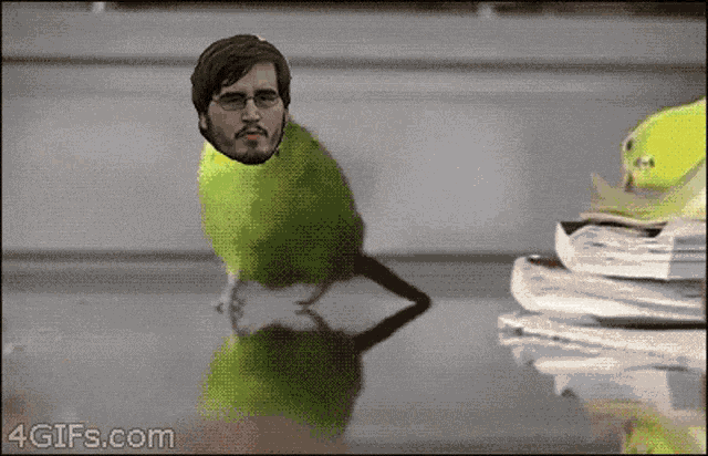 a green parrot with a man 's face on its head is sitting on a table