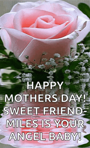 a pink rose with the words happy mothers day sweet friend miles is your angel baby written below it