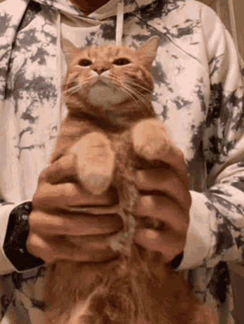 a person wearing a tie dye hoodie is holding a cat