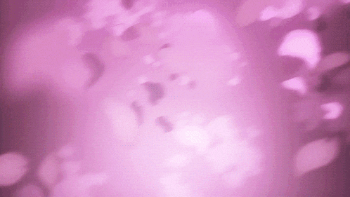 a purple background with a lot of leaves flying in the air .