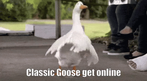 Classic Goose Classic Goose Get Online GIF - Classic Goose Classic Goose Get Online GIFs