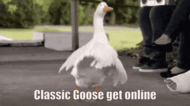 a white goose is standing on a sidewalk with its wings outstretched and a caption that says classic goose get online .