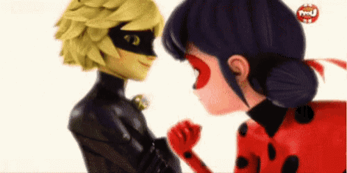 a ladybug and cat noir are looking at each other .