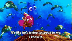 Nemo I Dont Understand GIF - Nemo I Dont Understand Dory GIFs