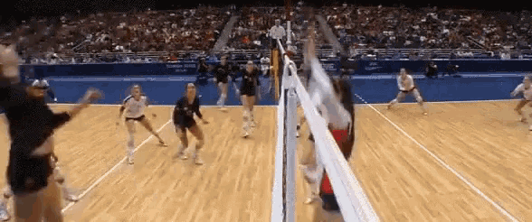 a group of women are playing volleyball on a court in front of a crowd
