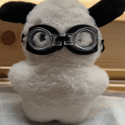 a stuffed animal wearing a pair of goggles with the letter o on them