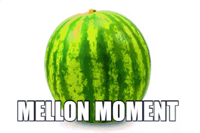 a watermelon with the words melon moment written on it