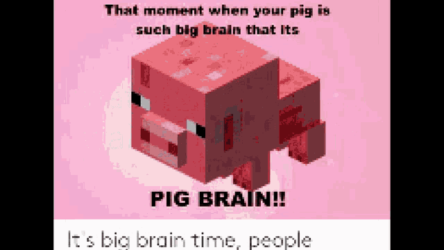 Pig Brain GIF - Pig Brain Pig Brain GIFs