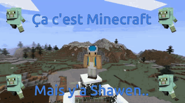 Ca C Est Minecraft Mais Ya Shawen GIF - Ca C Est Minecraft Mais Ya Shawen Shawen GIFs