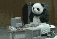 Panda Angry GIF - Panda Angry War GIFs