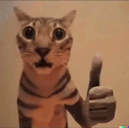 a close up of a cat giving a thumbs up .