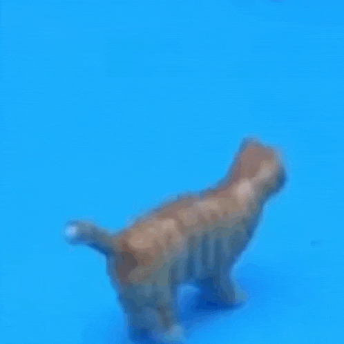 a toy cat is walking on a blue surface .