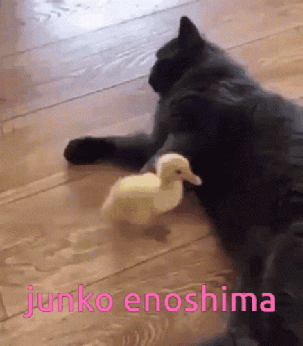 Junko Enoshima Junko Cat GIF - Junko Enoshima Junko Cat Danganronpa GIFs