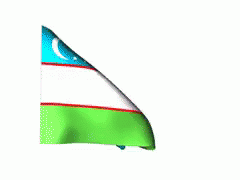 Uzbekistan Flag GIF - Uzbekistan GIFs