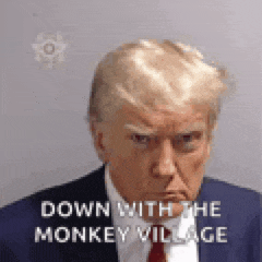 a man in a suit and tie is making a funny face with the words `` down with the monkey village '' .
