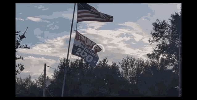 Flags Trump GIF - Flags Trump Usa GIFs