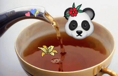 Coffee Panda Tea GIF - Coffee Panda Tea GIFs