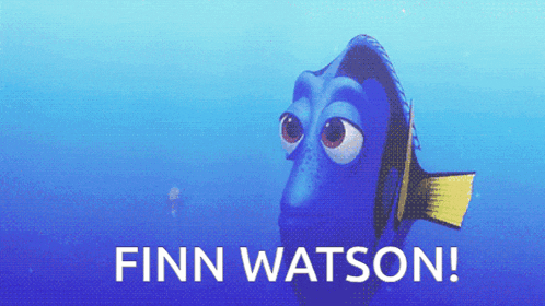 a picture of a fish with finn watson written on it