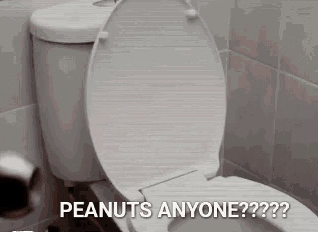 a toilet with the lid up and the words peanuts anyone on it