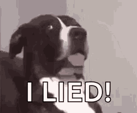 a black and white dog with its tongue out and the words `` i lied '' written on it .