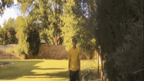 Pennywise Dance GIF - Pennywise Dance Funny Walk GIFs